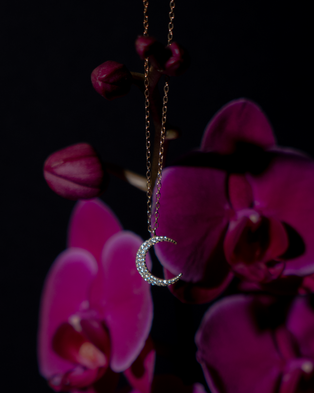 MOON Necklace (Diamonds)